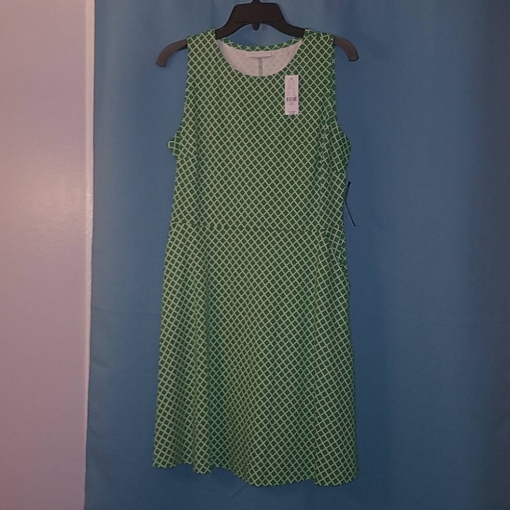 New York & co. checkered green and white dress